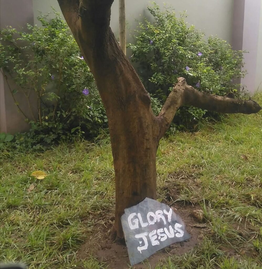 Tree in a landscaped garden with a painted stone inscription reading Glory Jesus.