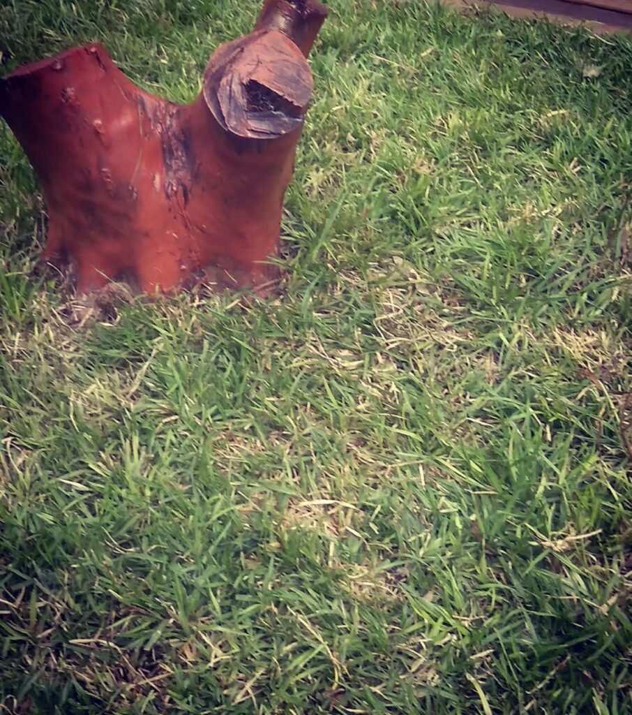 Repurposed tree stump used as a decorative feature in a grassy garden.